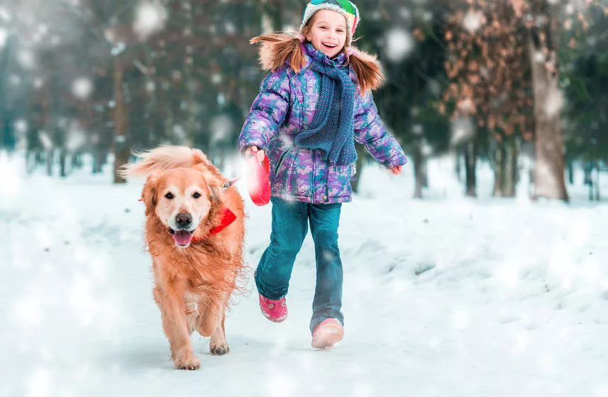 Hiver 2024 : nos idées de loisirs en famille par temps froid