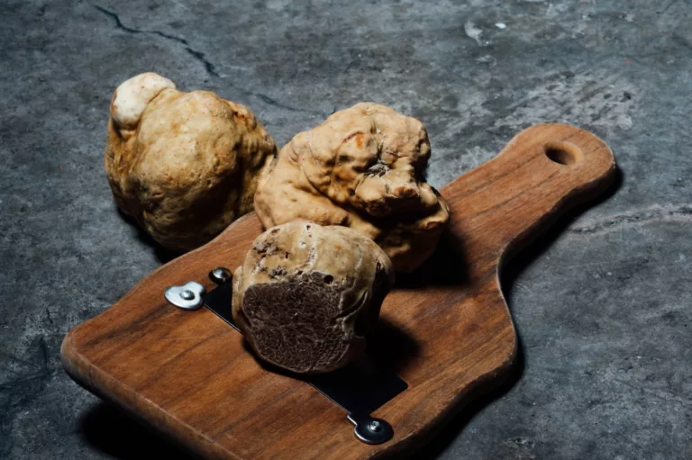 Article | Comment conserver des truffes ?