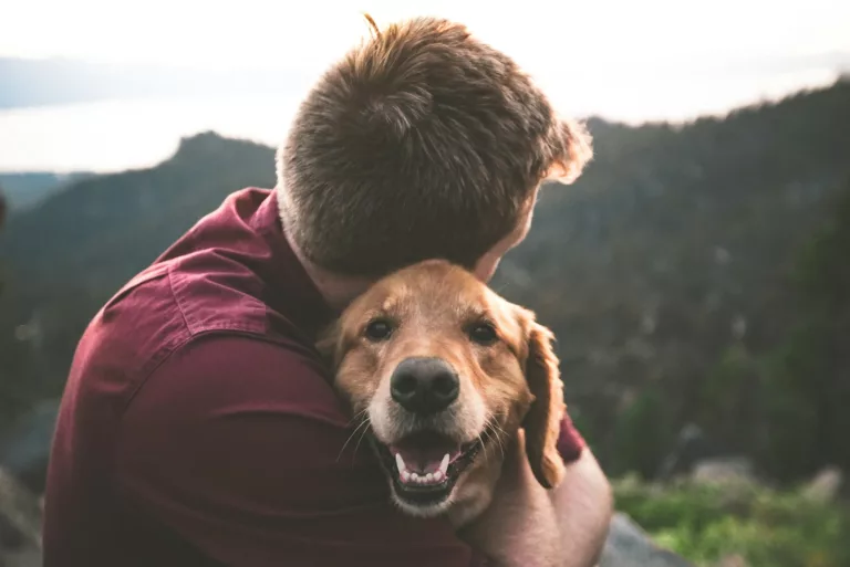 Article | Les bienfaits des chiens sur la santé