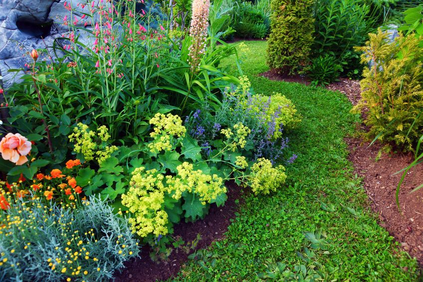 Documentaire Créer un jardin zen : astuces et inspirations pour un coin de détente