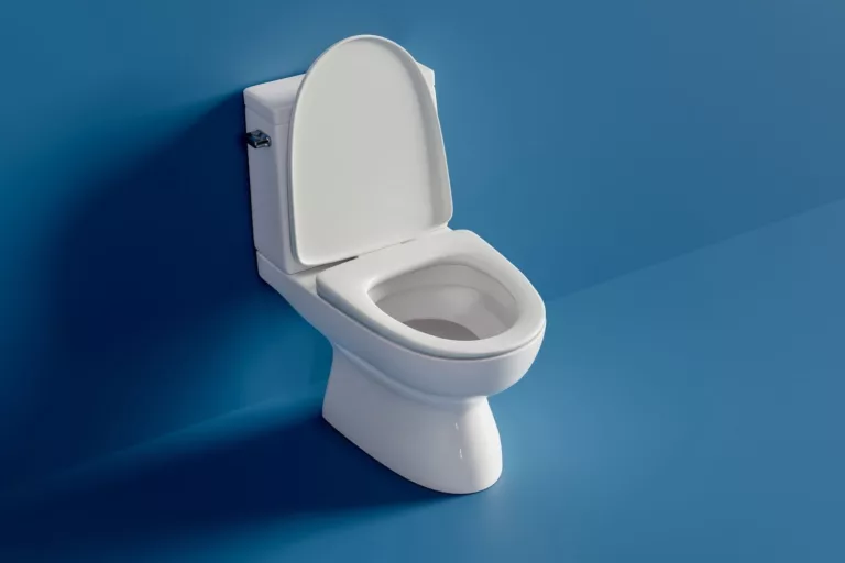 Article | Toilette bouchée ? Solutions rapides et conseils pratiques