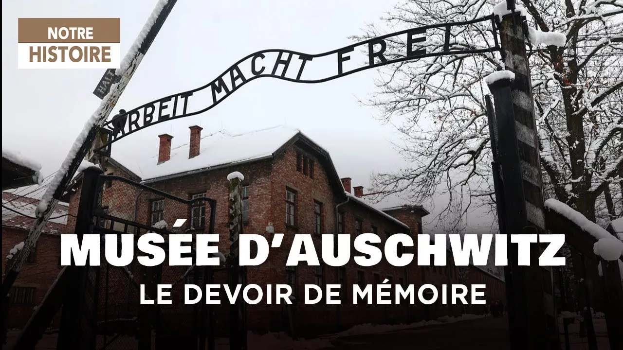 Auschwitz-Birkenau : entre mémoire et ruines, que reste-t-il à transmettre ?