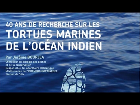 40 ans de recherche sur les tortues marines de l'océan Indien