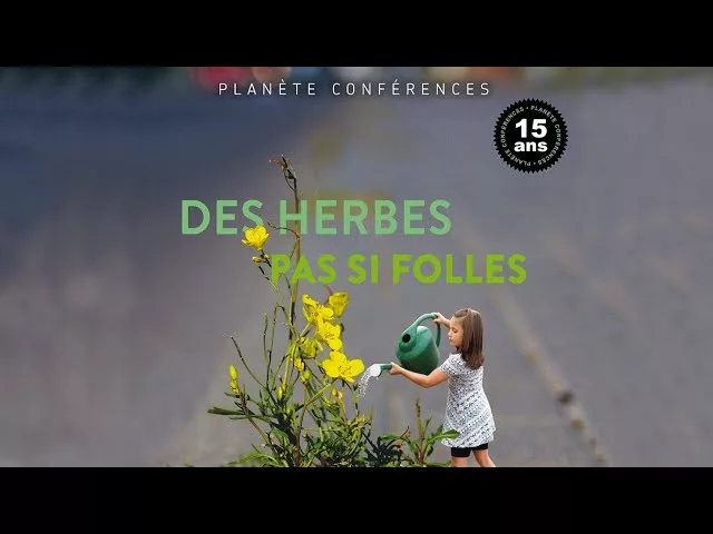 Des herbes pas si folles