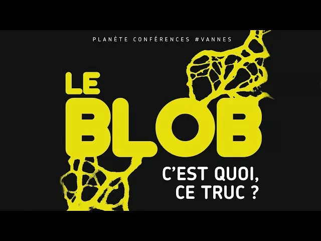 Le blob ? C’est quoi ce truc ?