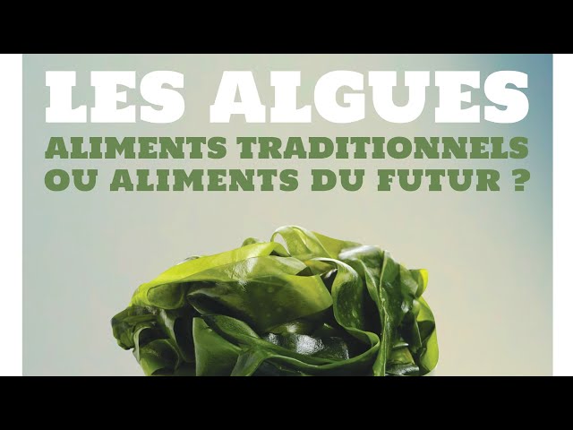 Les algues : aliments traditionnels ou aliments du futur ?