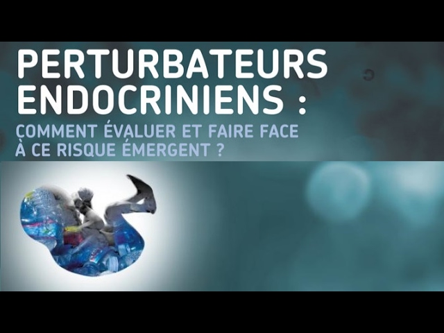 Perturbateurs endocriniens