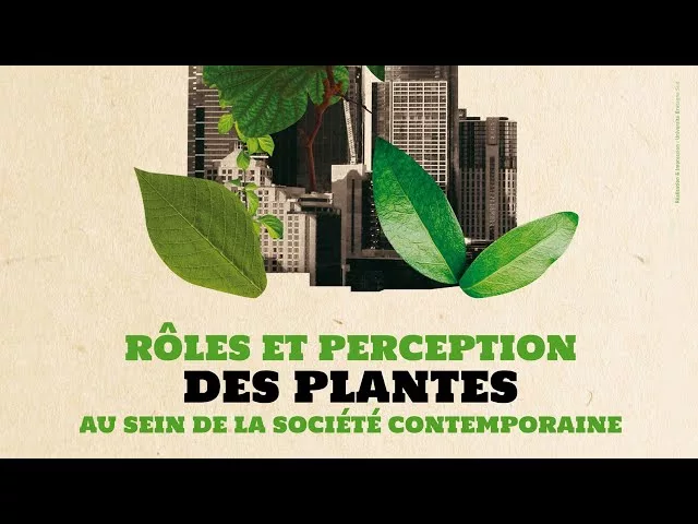 Rôles et perception des plantes au sein de la société contemporaine