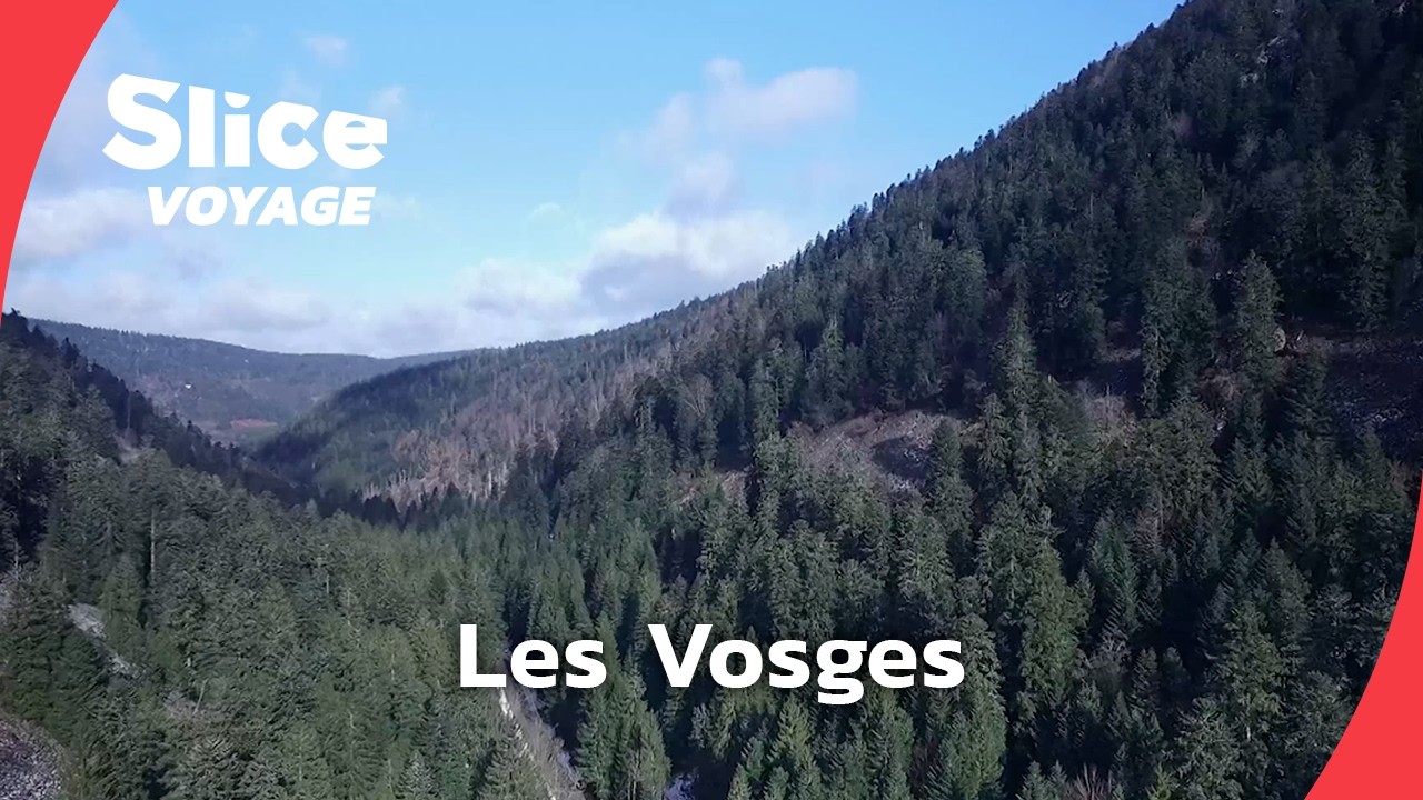 Documentaire Dans les forêts vosgiennes