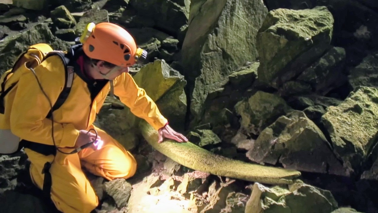 Documentaire Le mystère de la grotte de la Baleine