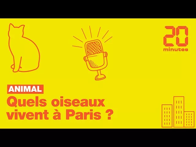 Quels oiseaux vivent à Paris ?