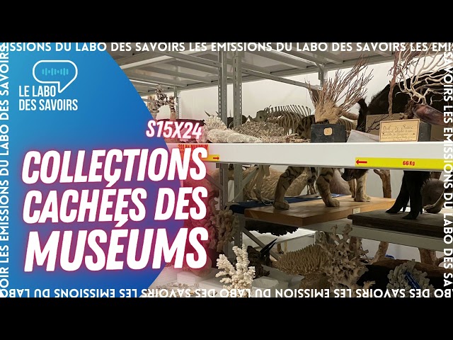 Documentaire Collections cachées des muséums