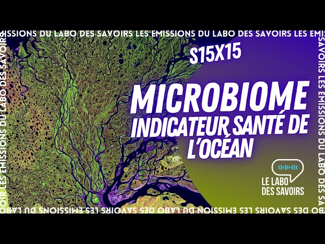 Microbiome : indicateur santé de l'océan