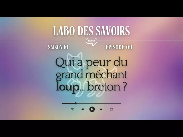 Qui a peur du grand méchant loup... breton ?