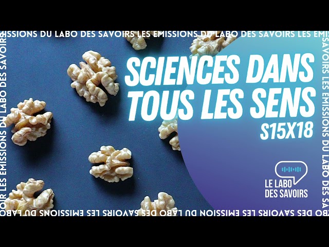 Sciences dans tous les sens