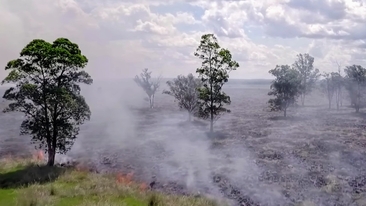 Documentaire Paraguay, la forêt des pesticides