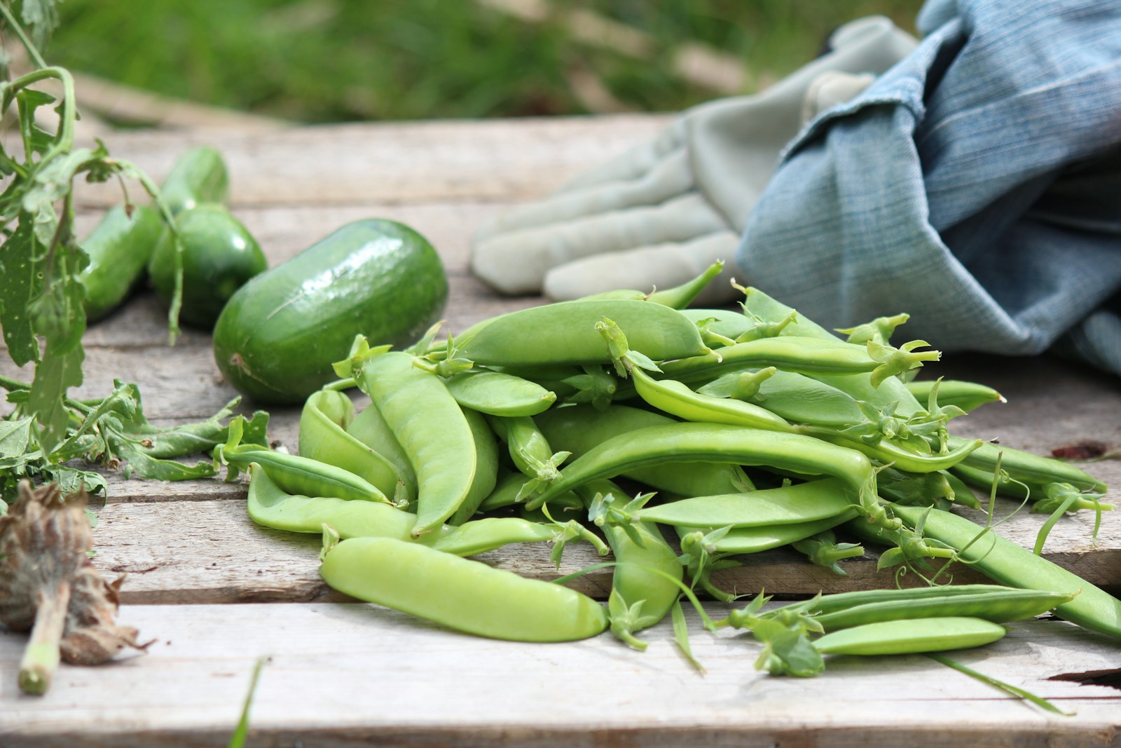 Comment cuisiner les légumes secs ?