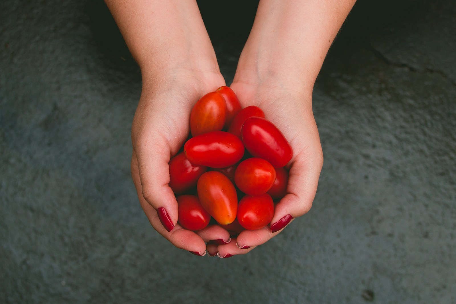 Comment cultiver des tomates cerises sur son balcon ?