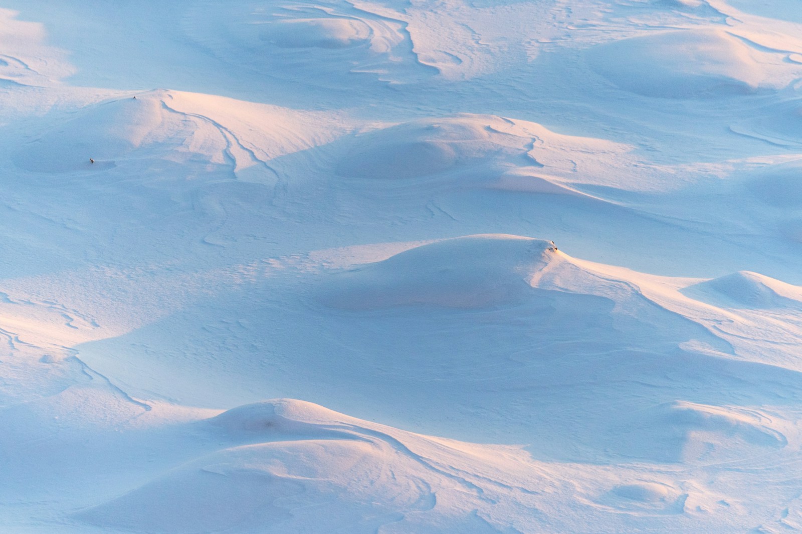 Comment distinguer la neige naturelle de la neige artificielle : quatre astuces simples