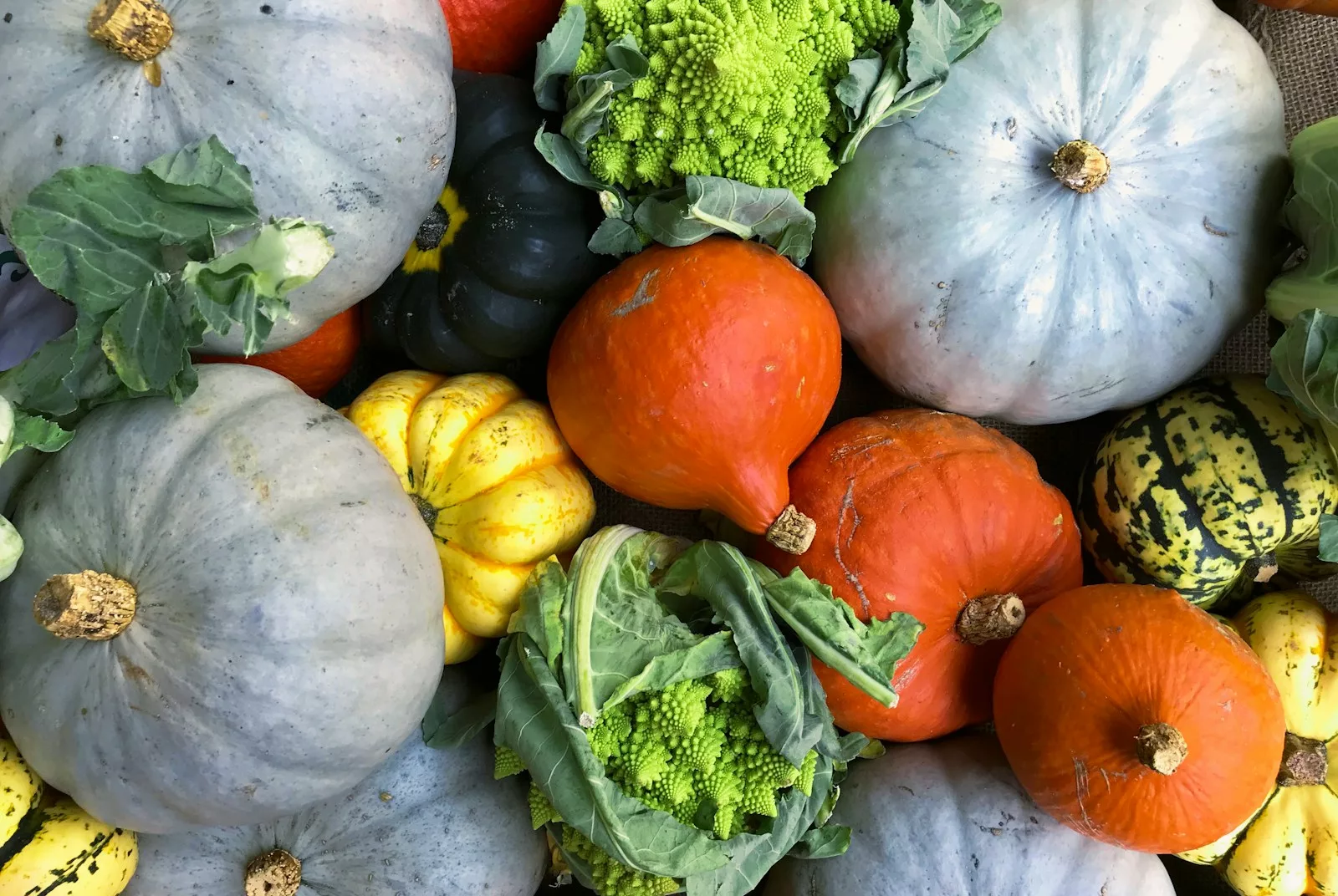 Les meilleurs légumes de saison pour l'automne et leurs bienfaits