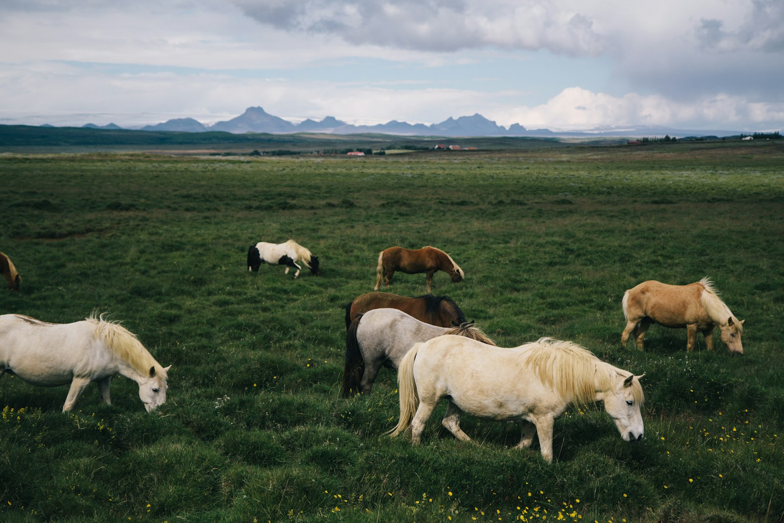 Itinéraire de 2 semaines en Islande : les incontournables