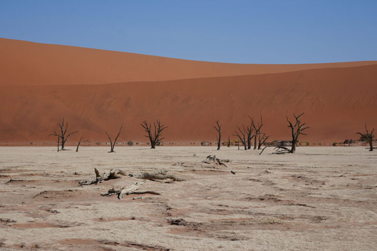 Article | Namibie : 5 lieux incontournables à explorer