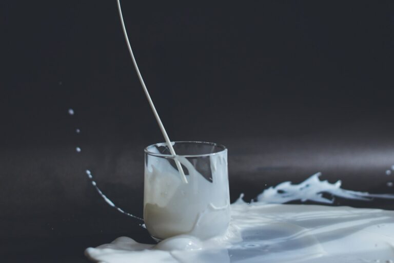 Article | Quelles options existent pour remplacer le lait ?