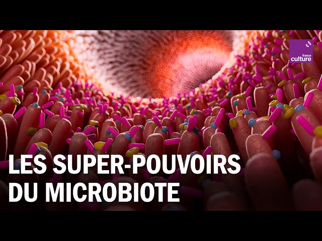 Documentaire Comment le microbiote agit-il sur notre santé ?