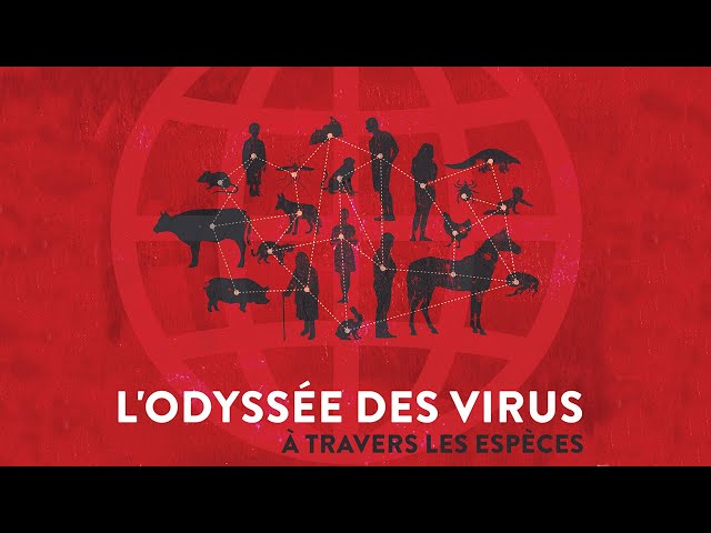 L'odyssée des virus à travers les espèces