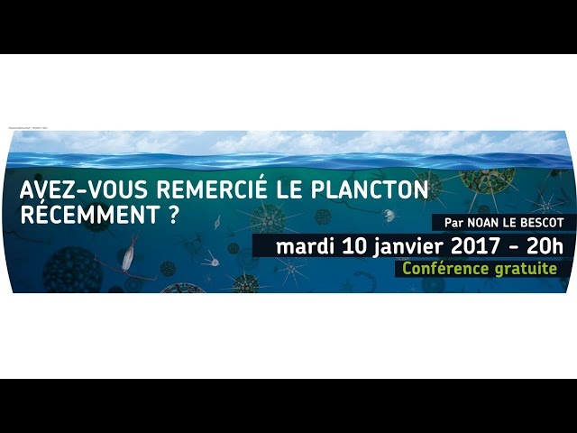 Avez-vous remercié le plancton récemment ?