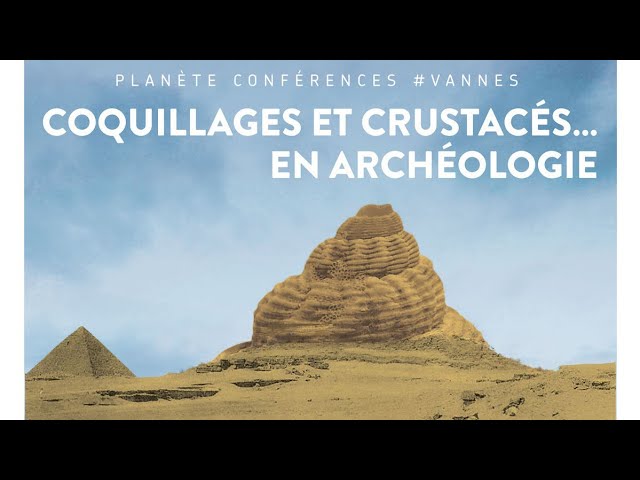 Coquillages et crustacés… en archéologie