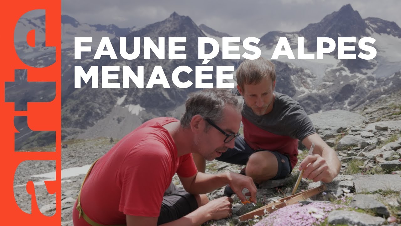 Coup de chaud sur les Alpes