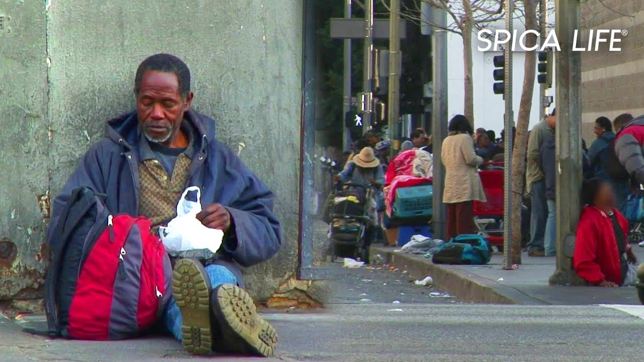 Des fous dans la rue : dans l'enfer américain