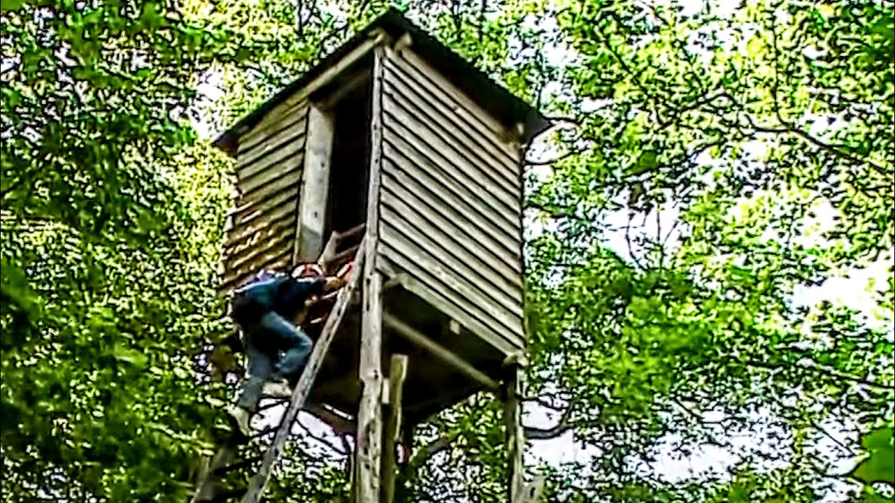 Documentaire Le Petit Guide des Bois Enchantés