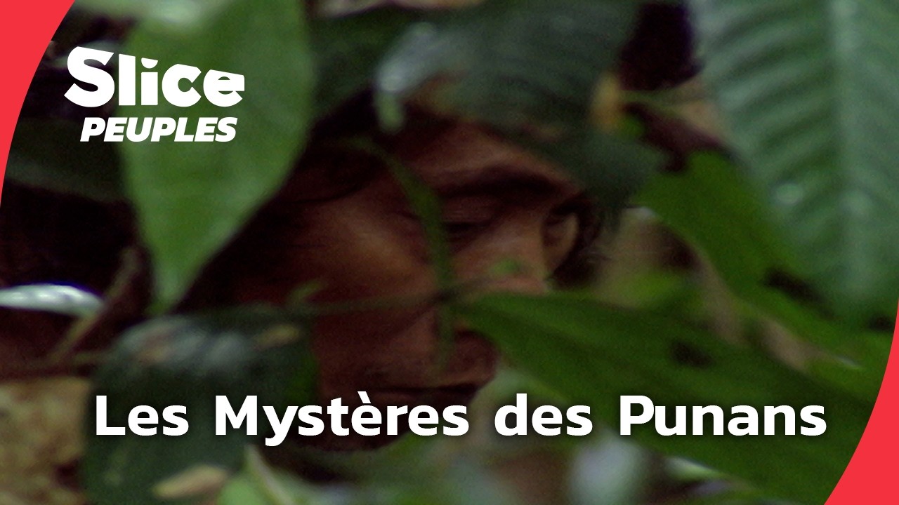 Les Punans de Bornéo : mystères d'une tribu cachée