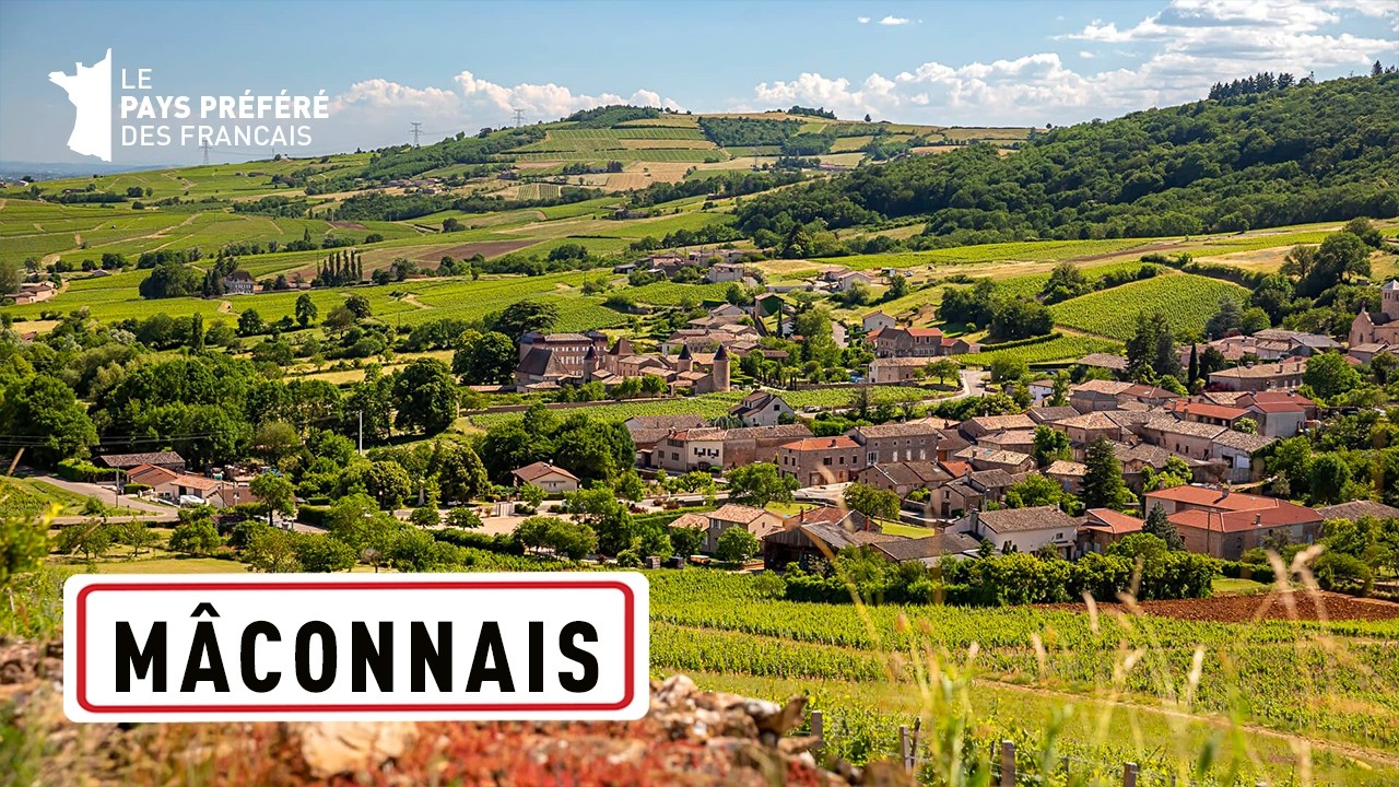 Mâconnais, Bourgogne sud : terre de vins et d'hédonisme