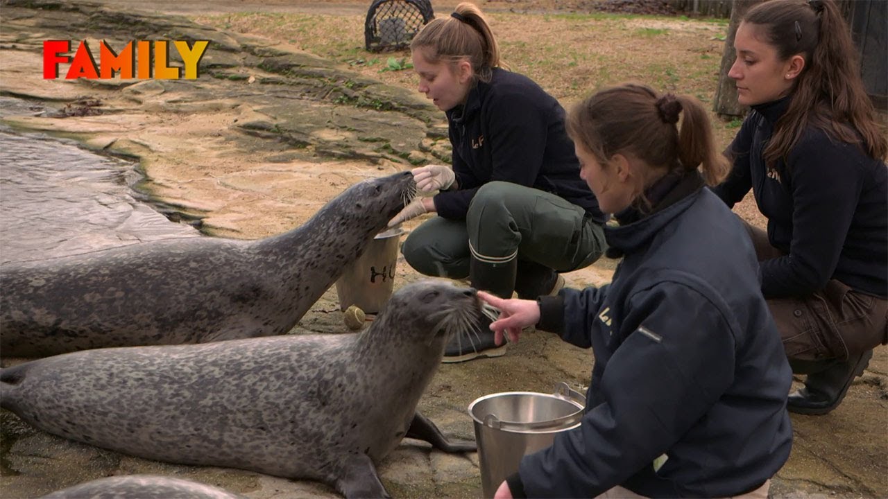 Naissances animales au cœur du plus grand zoo d'Auvergne