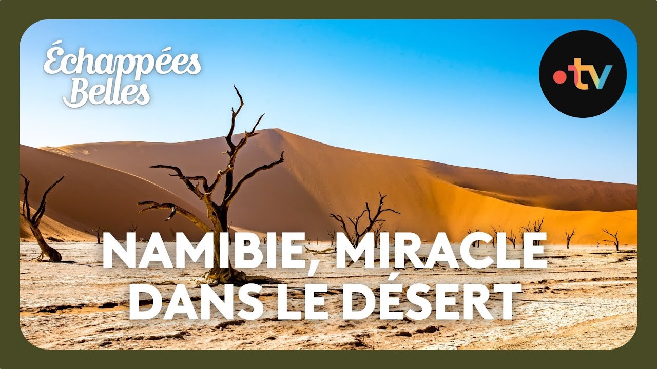 Namibie, un miracle en plein désert