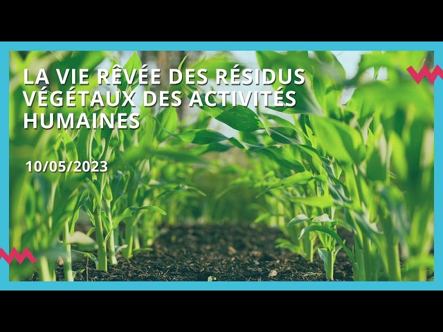 La vie rêvée des résidus végétaux des activités humaines