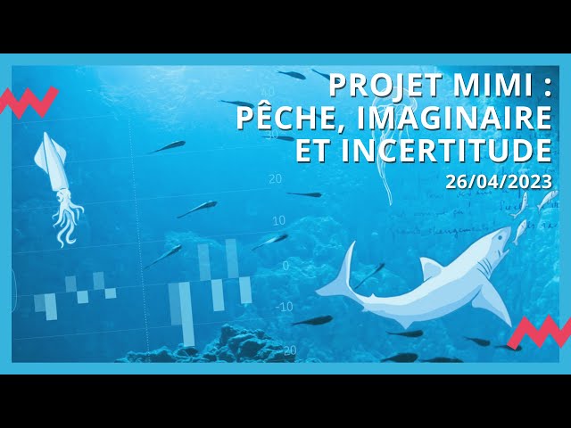 Projet MIMI : pêche, imaginaire et incertitude