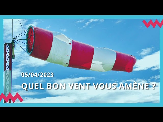 Documentaire Quel bon vent vous amène ?