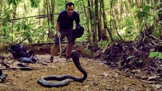 Roi des serpents, gardien des merveilles au Myanmar