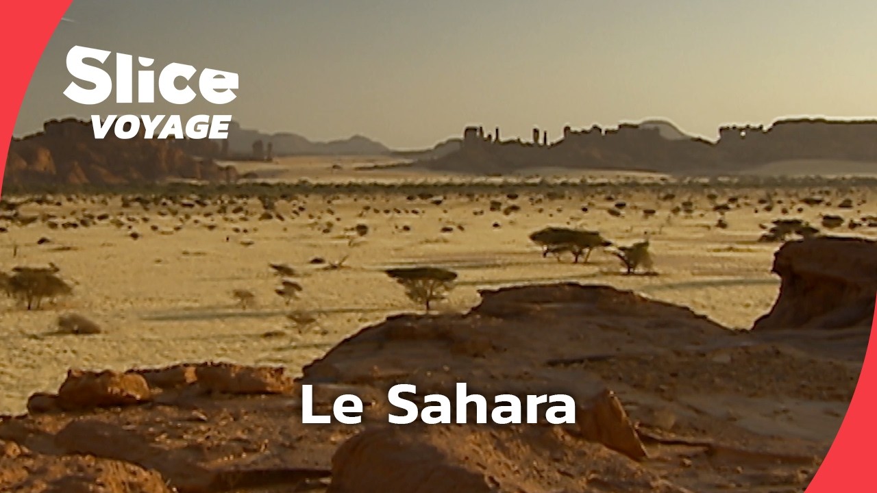 Un éden au Sahara