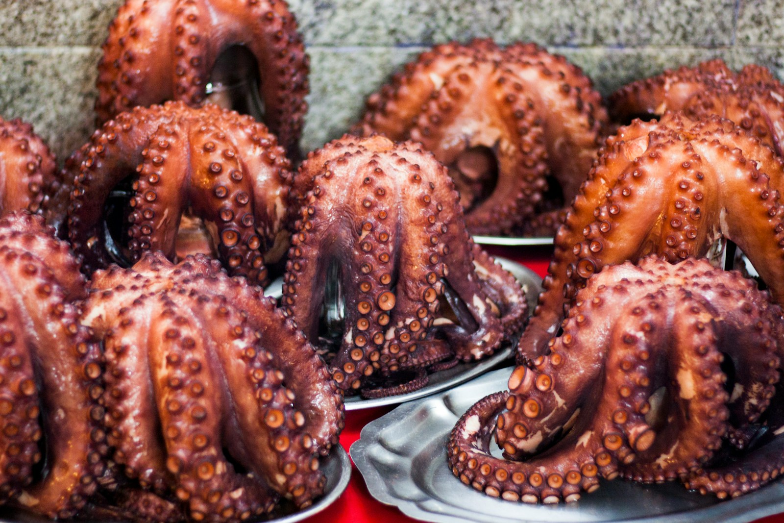 Cuisine : le poulpe, l'élément incontournable du Finistère