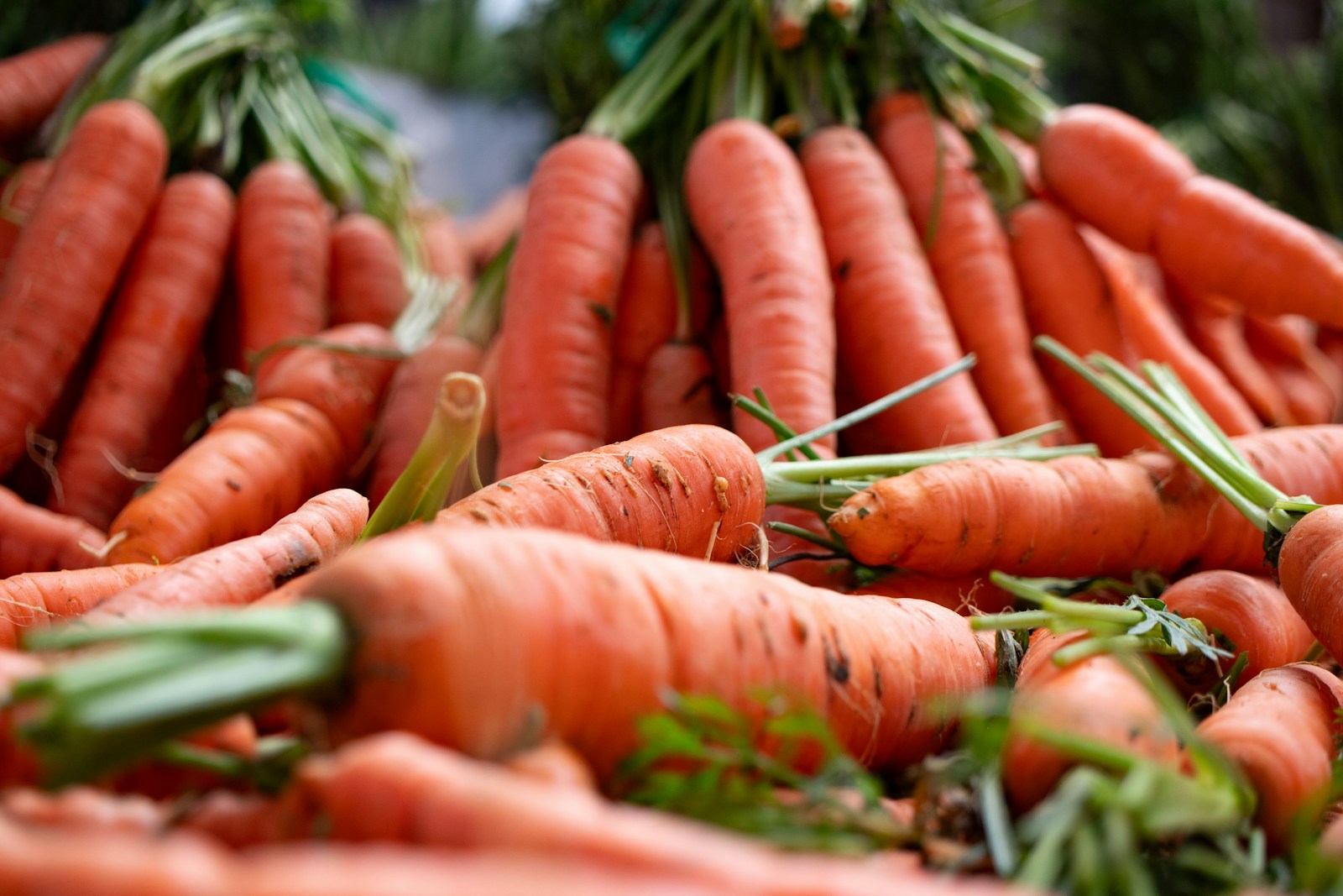 Quels avantages offrent les carottes ?