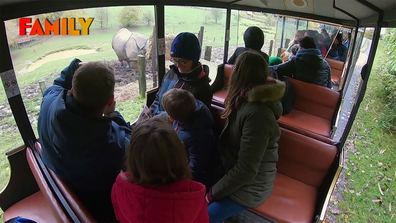 24h magiques aux côtés d'animaux sauvages