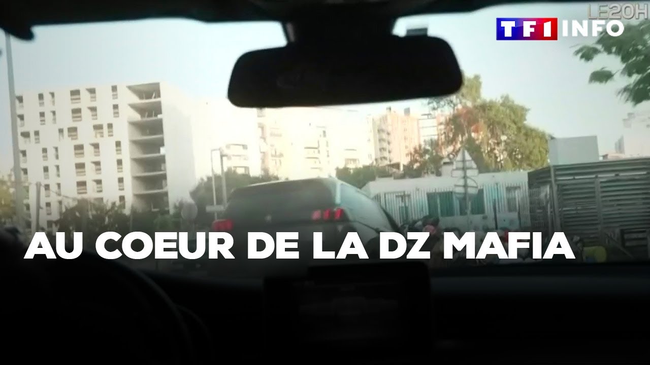 Au coeur de la DZ mafia