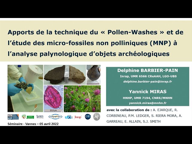 Apports de la technique du « Pollen-Washes »