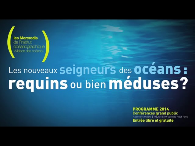 Documentaire Les méduses, ces nouveaux seigneurs des mers !