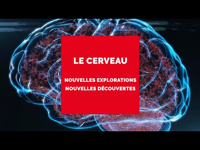 Documentaire À la recherche du futur – Les recherches sur le cerveau